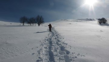 gite du puy mary-cantal-paysages (22)